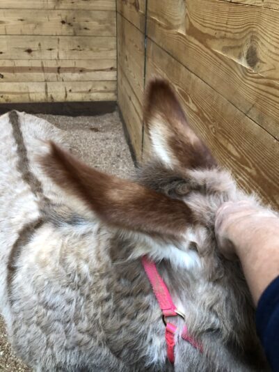 F7664654-4832-40DA-A2DA-562314A4398A