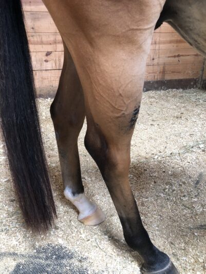 E622AE18-2720-45E2-84E0-2E0F3CB36DCF