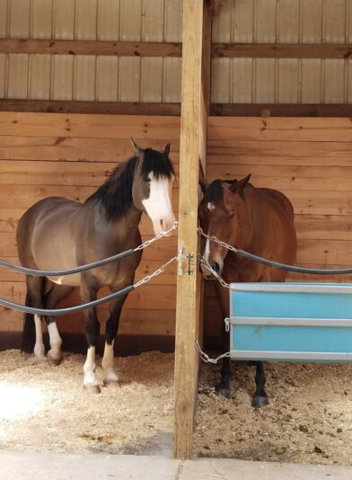 A05BDCEA-75A8-4940-8F2D-6A3CEE6026FE