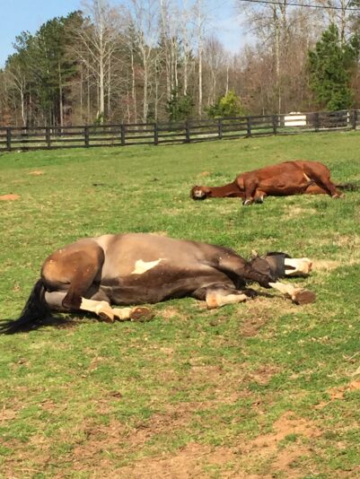 D7F936F7-4BC2-4C34-BA2A-D234D1CFD04C