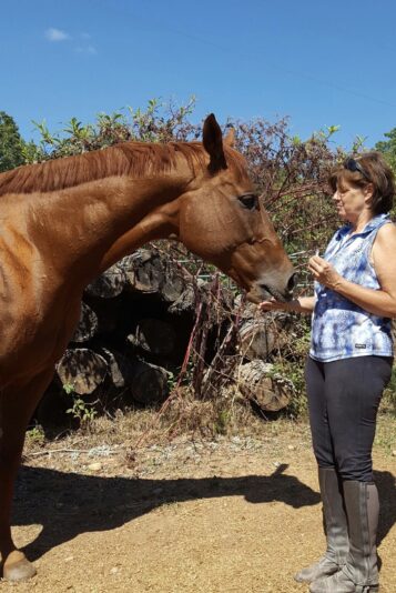 B441561E-A13D-40A2-A4A5-469F95E261A3