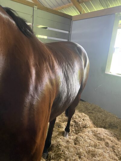 D37F0137-223B-459D-8617-9E7DE21D6BFB