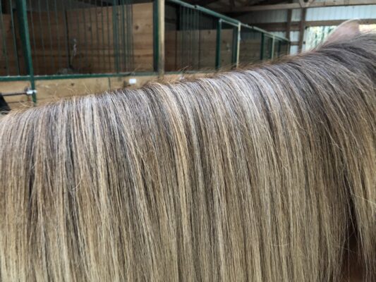 9F696F7D-7582-4598-AAD0-665DB068FFC5