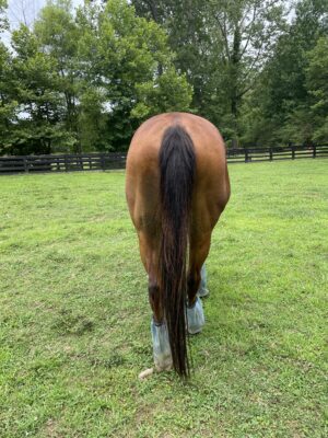 4C38A7B3-2D29-4185-813F-D88046BC6565