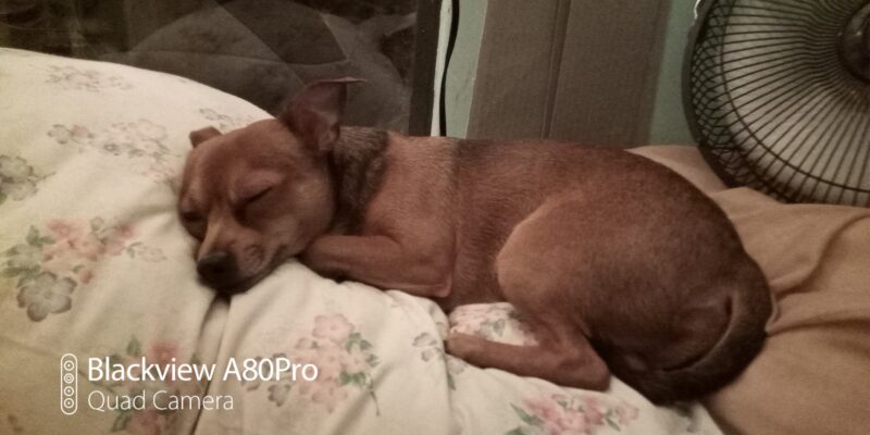 IMG_20210826_230023_059