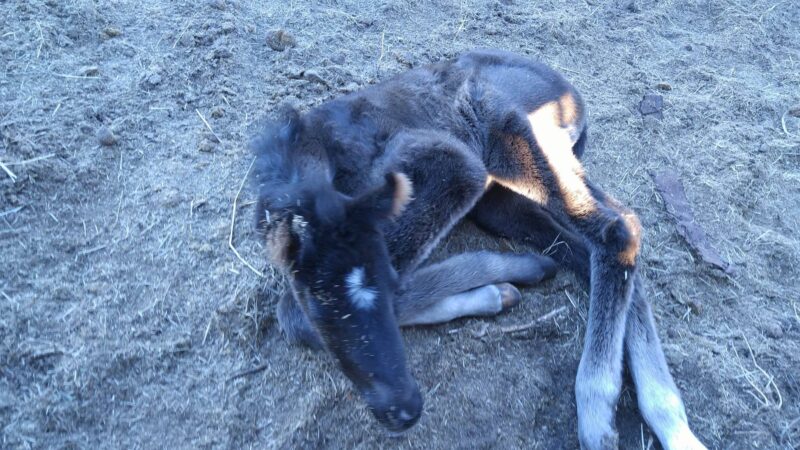 received_1299246893451420