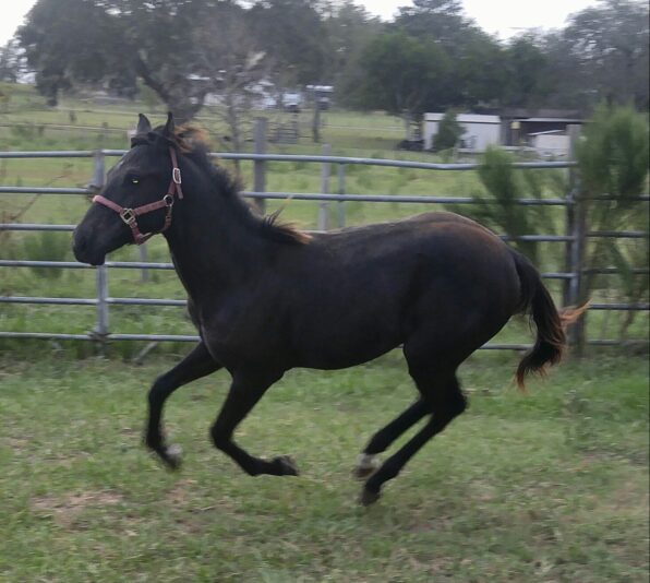 received_1558151544227619