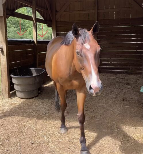 EE804F47-F33F-440A-A829-90D4F4052838