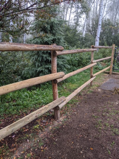 PXL_20210831_155804475