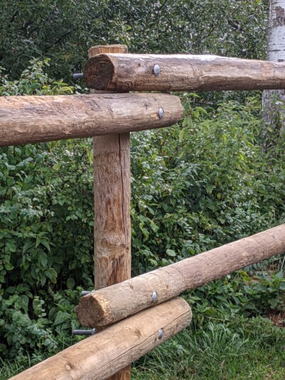 PXL_20210831_162534120