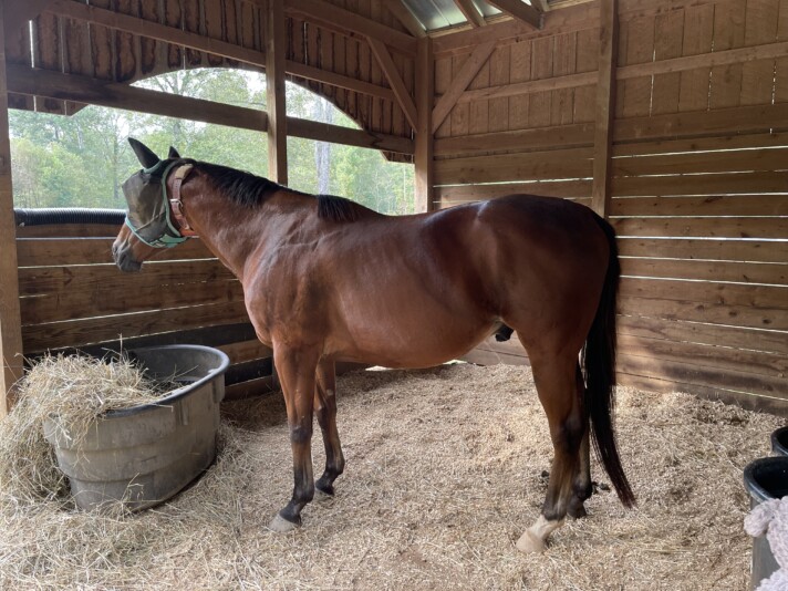 B4B05F1E-4227-4E58-947C-3034EF920FEB