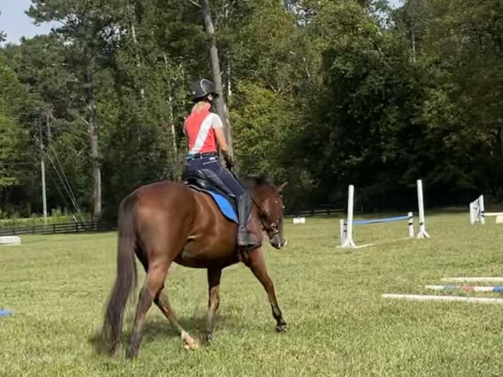 21772F59-C71F-468F-886B-189B60E0DBA1