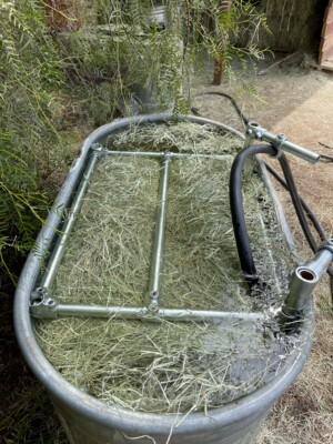 3004BF64-A7F5-4E73-99C4-B829FD13283E