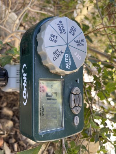 F275A9C9-1974-4125-AFD3-F823CBD8EB0F