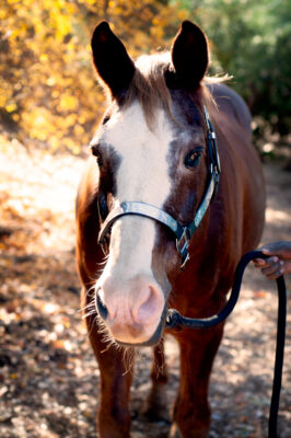 9B480E3A-AF2B-464F-BC4E-11E869C62CF8