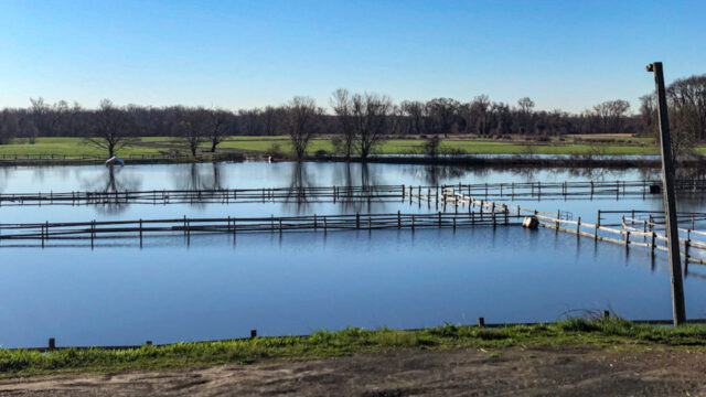 Pasture flooding