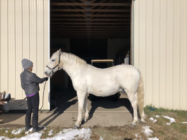 9F994F1A-E640-4D7C-A0AA-550A0283C5DF