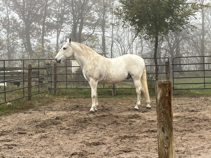 32513271-E23F-4571-8ACD-78C007F55736