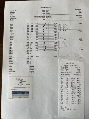 73983572424__D6168841-D77E-480B-AC58-25E843751B6A