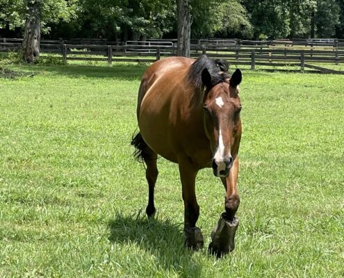 F6C9DAA5-BF9A-445E-8849-1E790A9E23AF