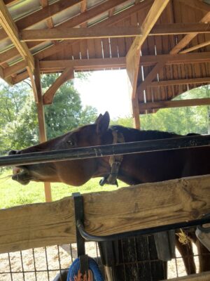 5224EB16-8A18-4654-98C8-F63DB8073ADB