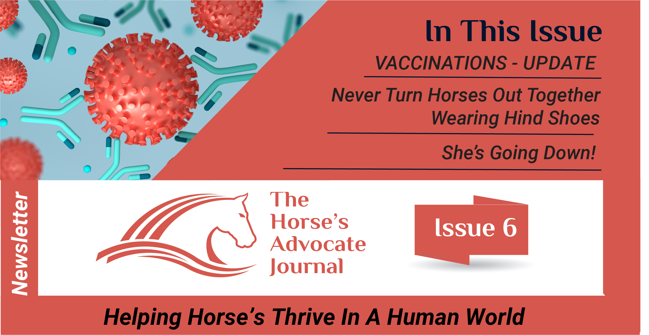 The Horses Advocate Journal Issue 6